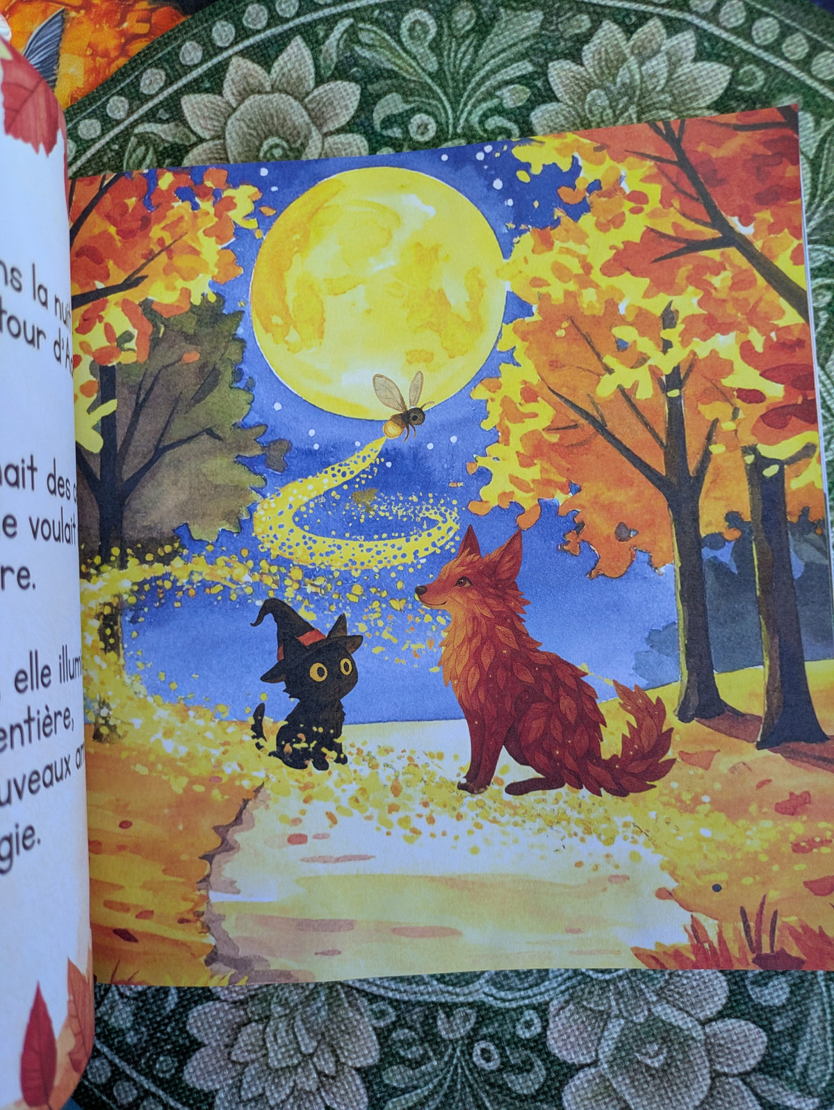 Grisouille et la lune dorée 🐈‍⬛