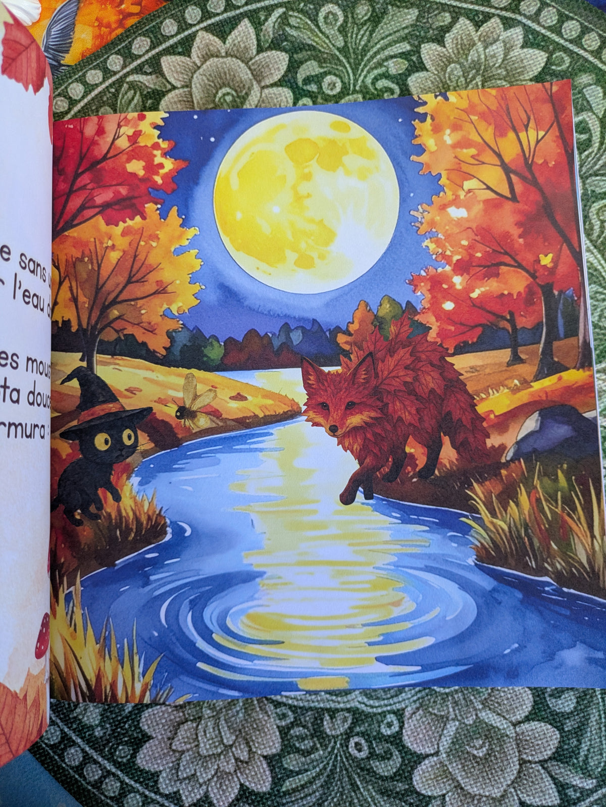 Grisouille et la lune dorée 🐈‍⬛